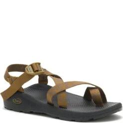Chaco Men's Z/Cloud 2 Sandals - Aerial Bronze