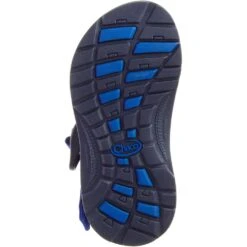 Chaco Kid's ZX/1 Ecotread Sandals - Barrez Royal