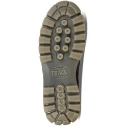 ECCO Men's Track 25 Low Casual Shoes - Bison